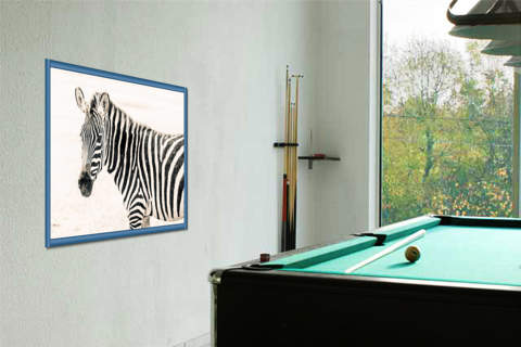 Zebra II                         von Toby Seifinger