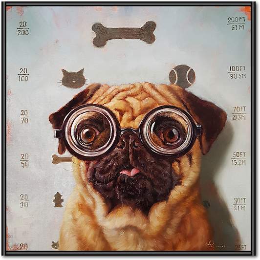 Canine Eye Exam von Lucia Heffernan