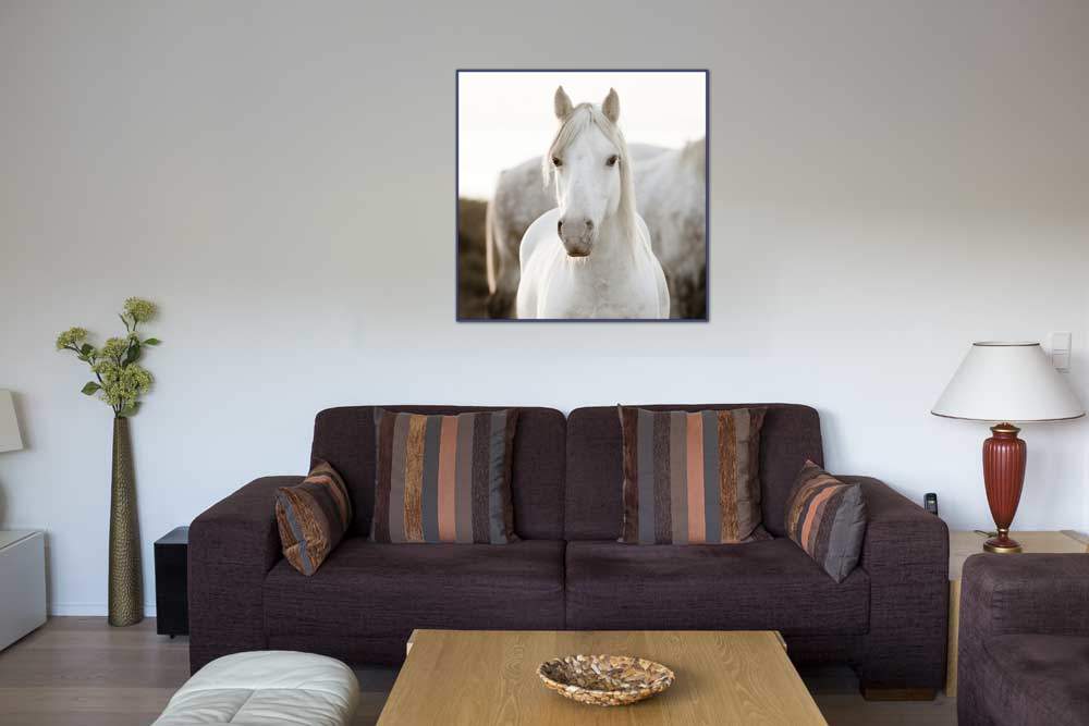 Horse von Jorge Llovet