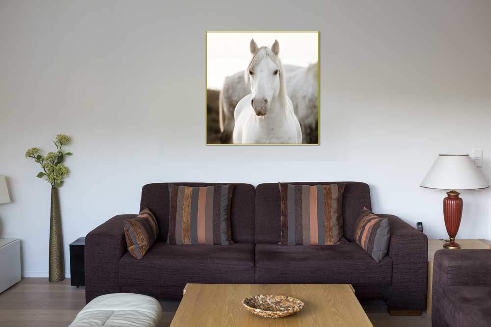 Horse von Jorge Llovet