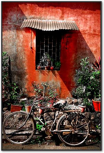 Indian Bicycle von Gill Copeland