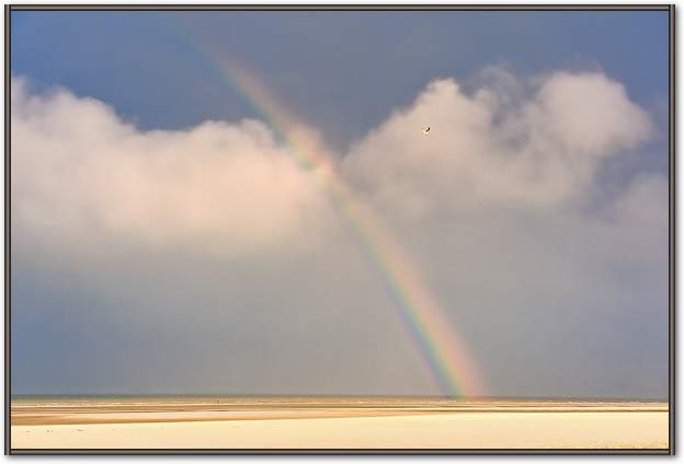 Rainbow von Georges-Félix Cohen