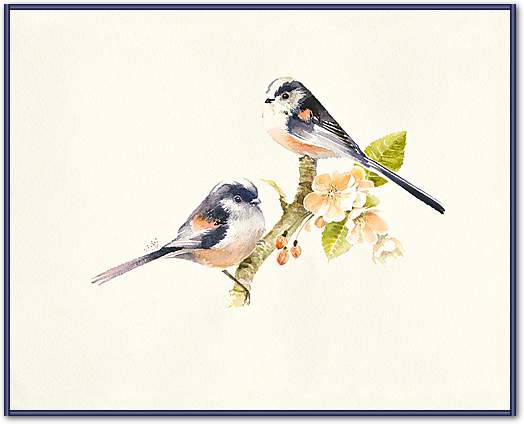 Longtailed Tits von Hilary Mayes