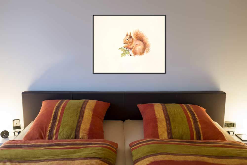 Red Squirrel von Hilary Mayes