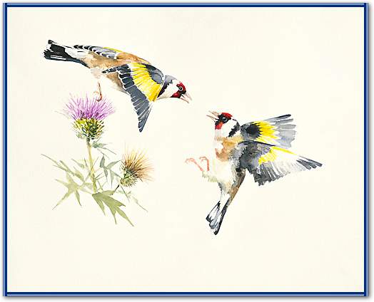 Goldfinches von Hilary Mayes