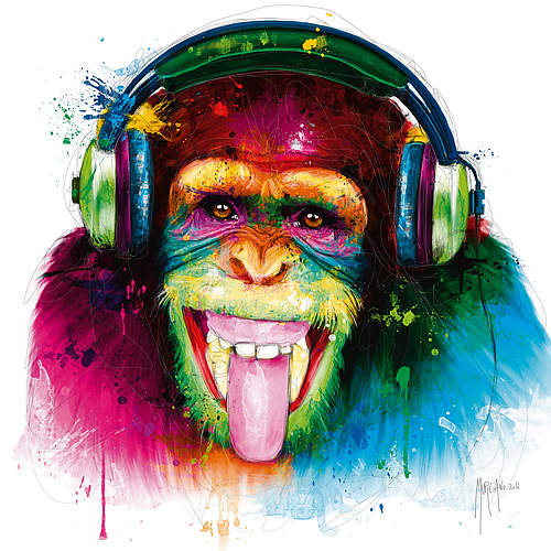 DJ Monkey von Patrice Murciano