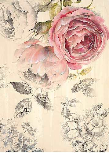 Ethereal Roses 1 von Stefania Ferri