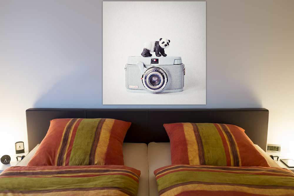 Panda & Vintage Camera von Susannah Tucker Photography
