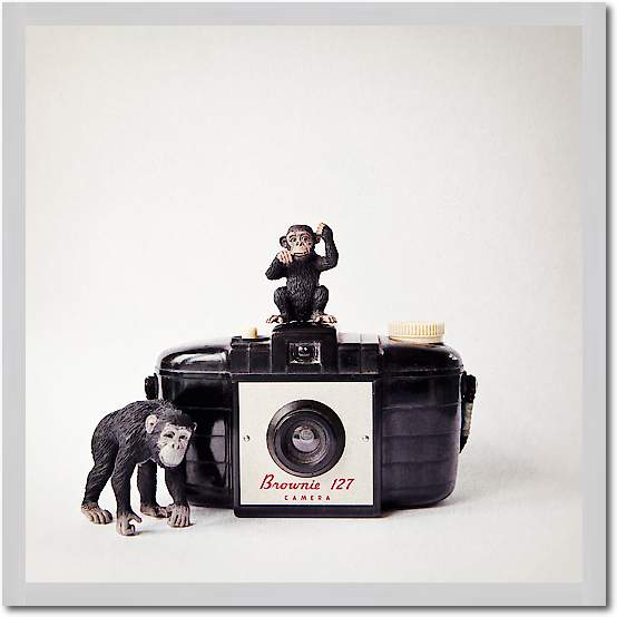 Monkey & Vintage Camera von Susannah Tucker Photography