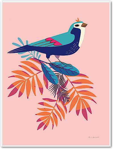 Exotic Birds III von Omar Escalante