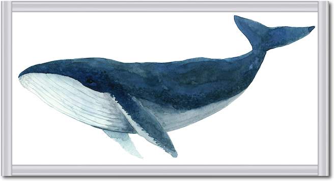 Humpback Whale - Blue von Jeannine Saylor