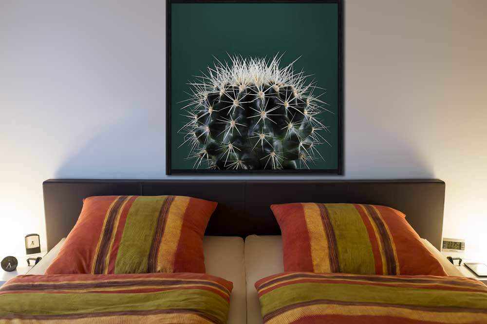 Cacti II von Andre Eichman