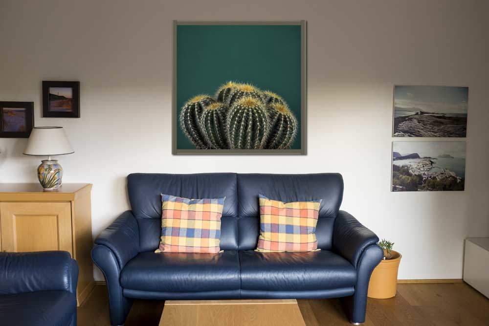 Cacti I von Andre Eichman