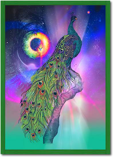 Cosmic Peacock von Karin Roberts