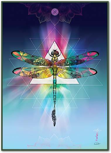 Cosmic Dragonfly von Karin Roberts