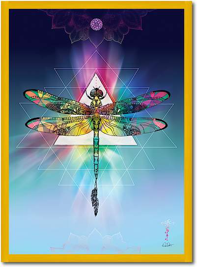 Cosmic Dragonfly von Karin Roberts