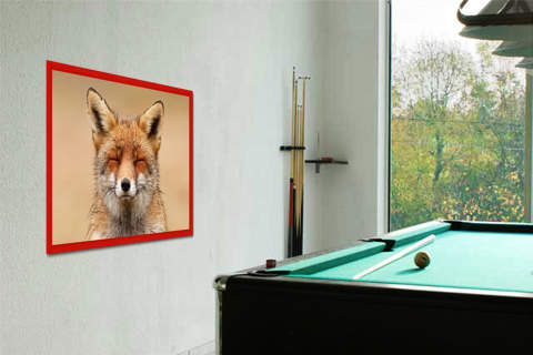 Zen Fox Red Portrait von Roeselin Raimond