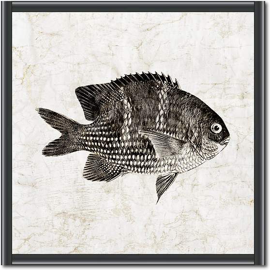 Vintage Fish I von Christine Zalewski