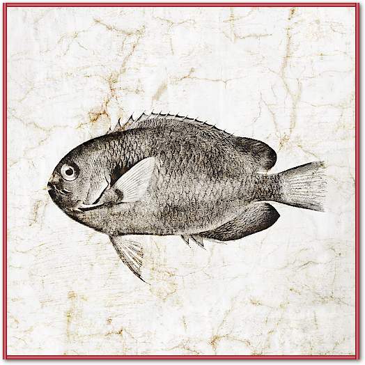 Vintage Fish III von Christine Zalewski