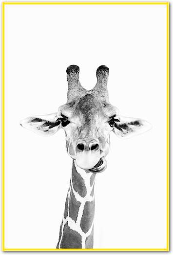 Happy Giraffe von Sisi & Seb