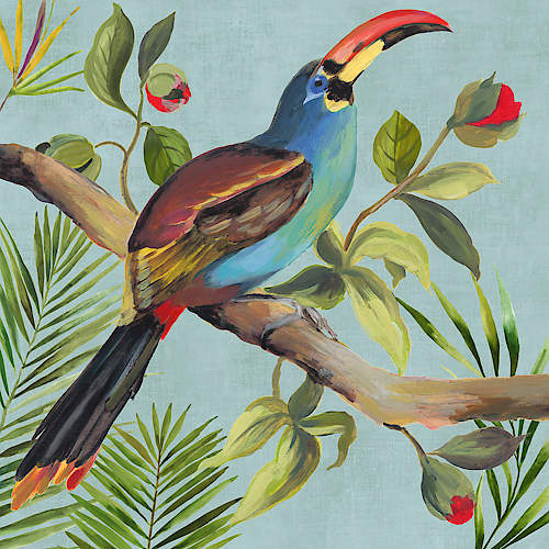 Paradise Toucan I von Aimee Wilson