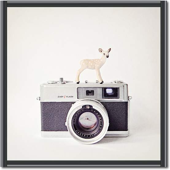 Deer & Vintage Camera von Susannah Tucker Photography