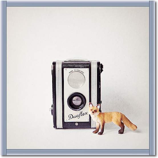 Fox & Vintage Camera von Susannah Tucker Photography