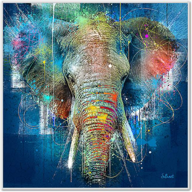 Eléphant bleu von Sylvain Binet