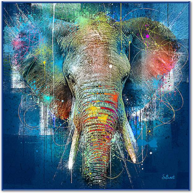 Eléphant bleu von Sylvain Binet