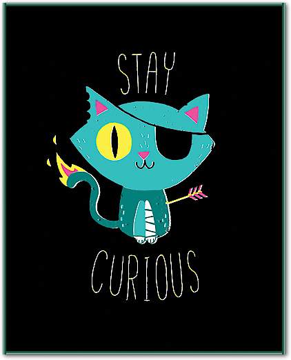 Stay Curious von Michael Buxton