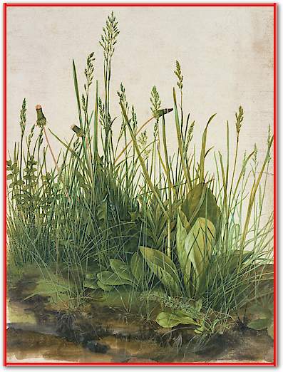 Das große Rasenstück von Albrecht Dürer