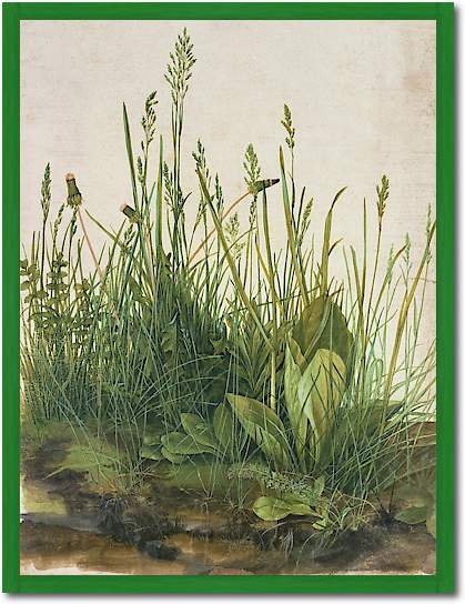 Das große Rasenstück von Albrecht Dürer