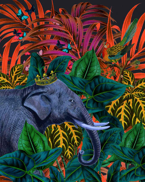 Tropical Jungle von Erika C. Brothers