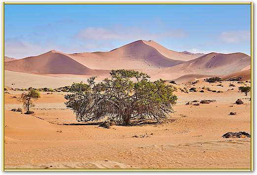 Namib Sandsea von Peter Hillert