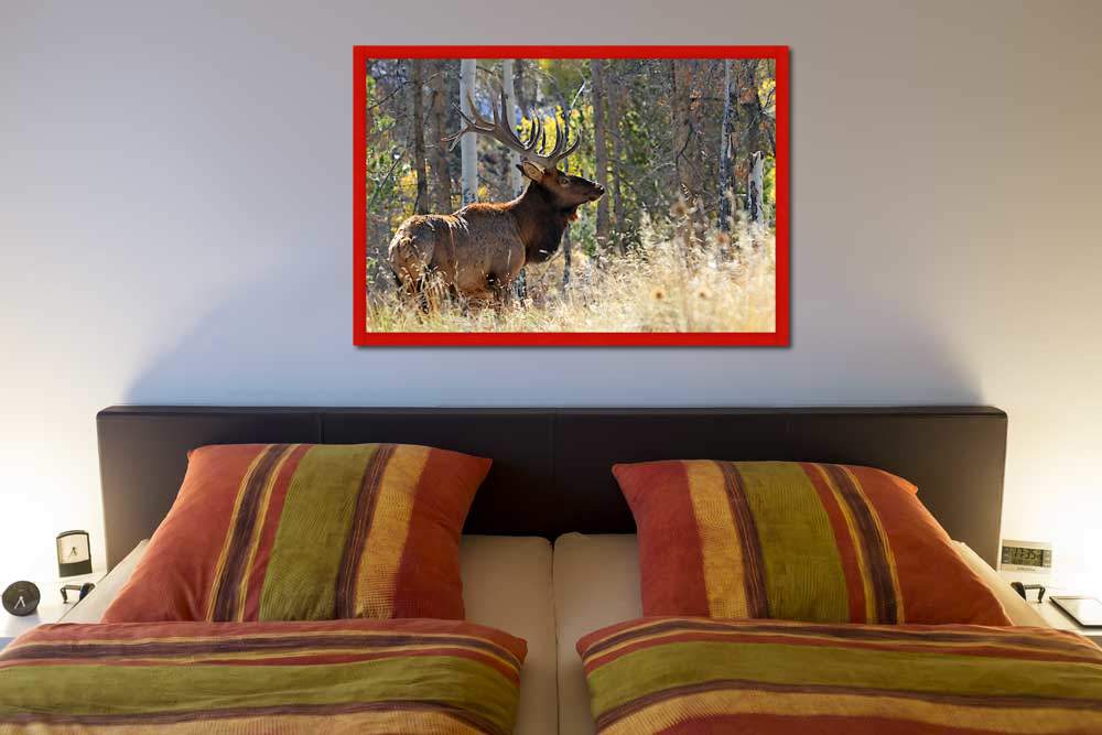 Bull Elk in the Forest von Vic Schendel