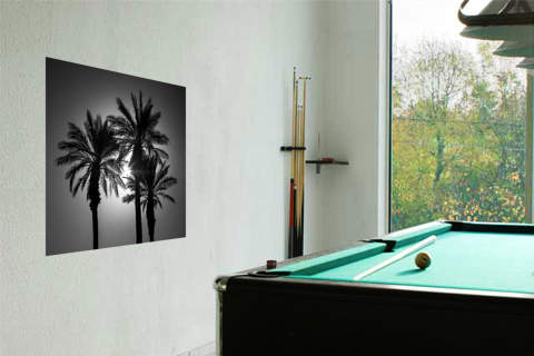 Palm Trees II von Assaf Frank