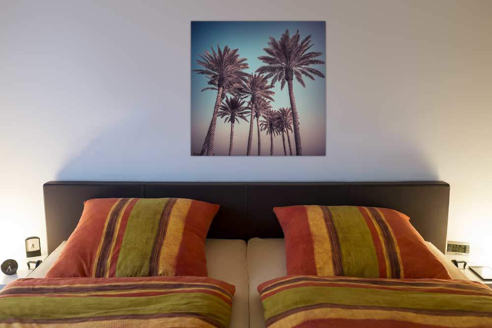 Palm Trees von Assaf Frank