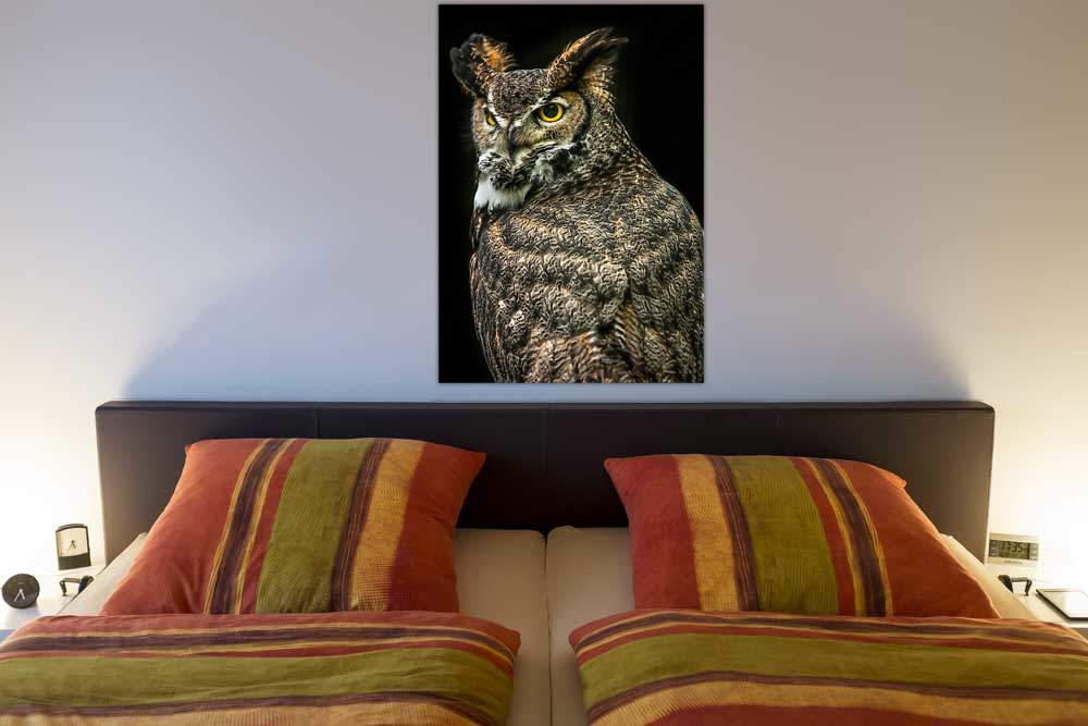 Wisdom Owl III von Ronin