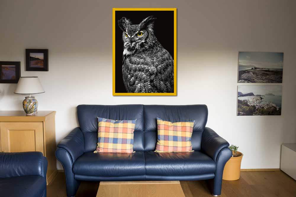 Wisdom Owl II von Ronin