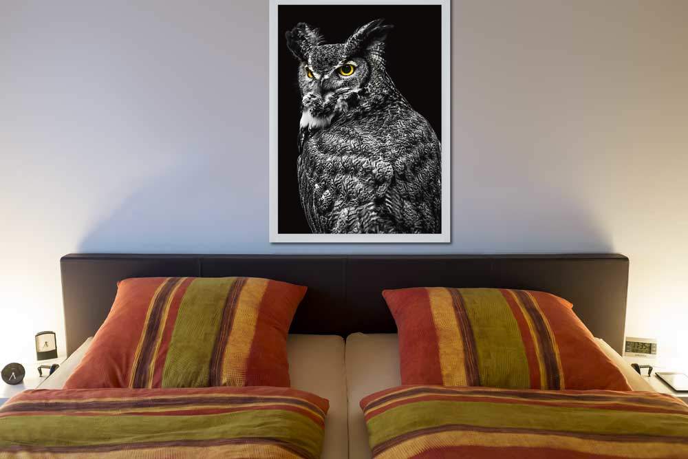 Wisdom Owl II von Ronin