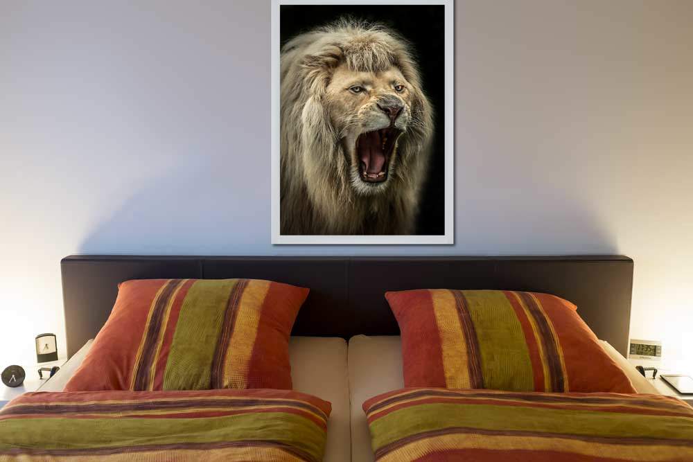 The Lion Roars von Ronin