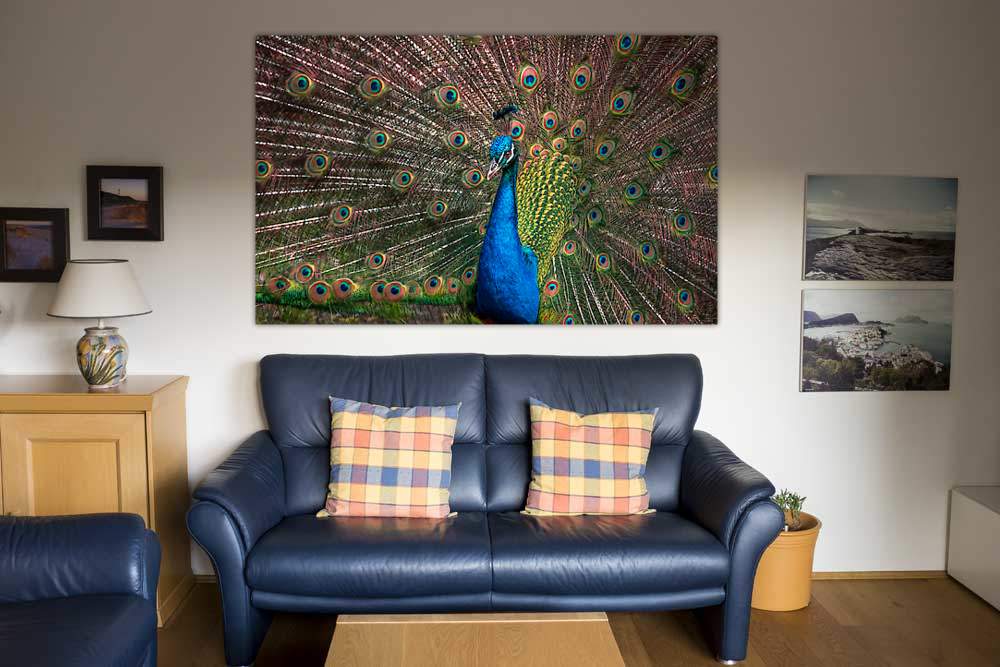 The Peacock von Ronin