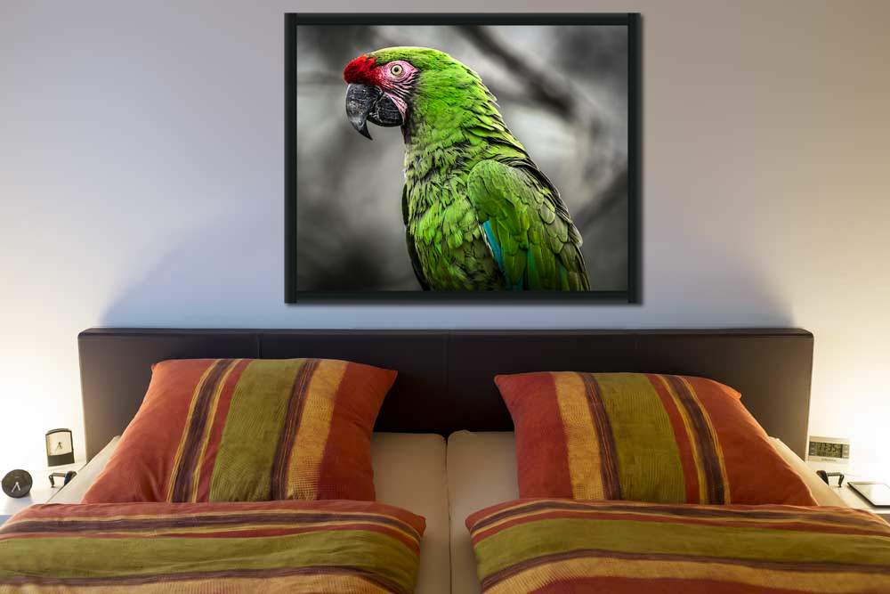 Green Ara Parrot von Ronin