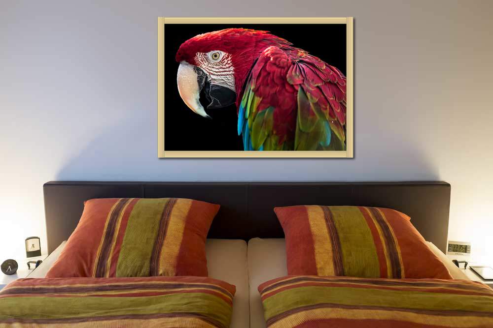 Ara Parrot von Ronin