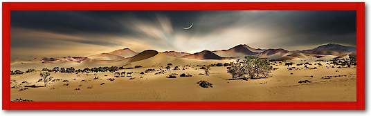 Namib Sandsea II von Peter Hillert