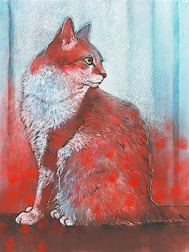 Red Cat von Loes Botman