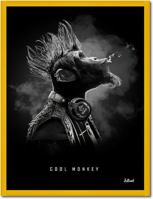 Cool Monkey von Sylvain Binet