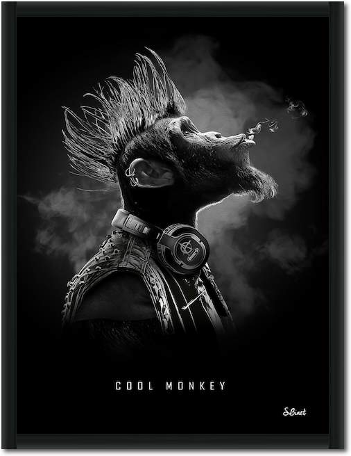 Cool Monkey von Sylvain Binet