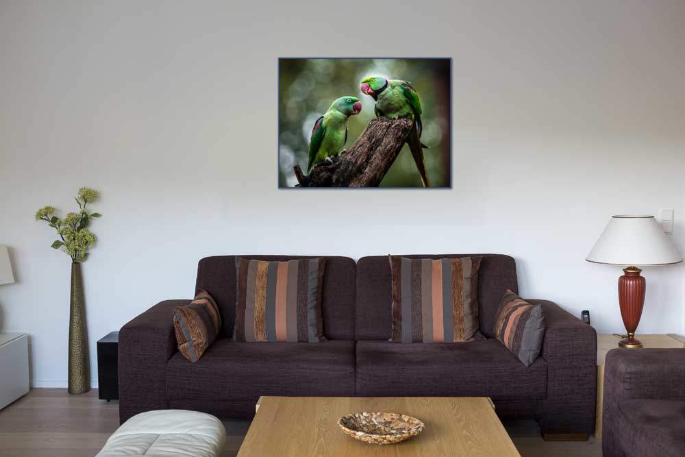 Green Parrot II von Ronin