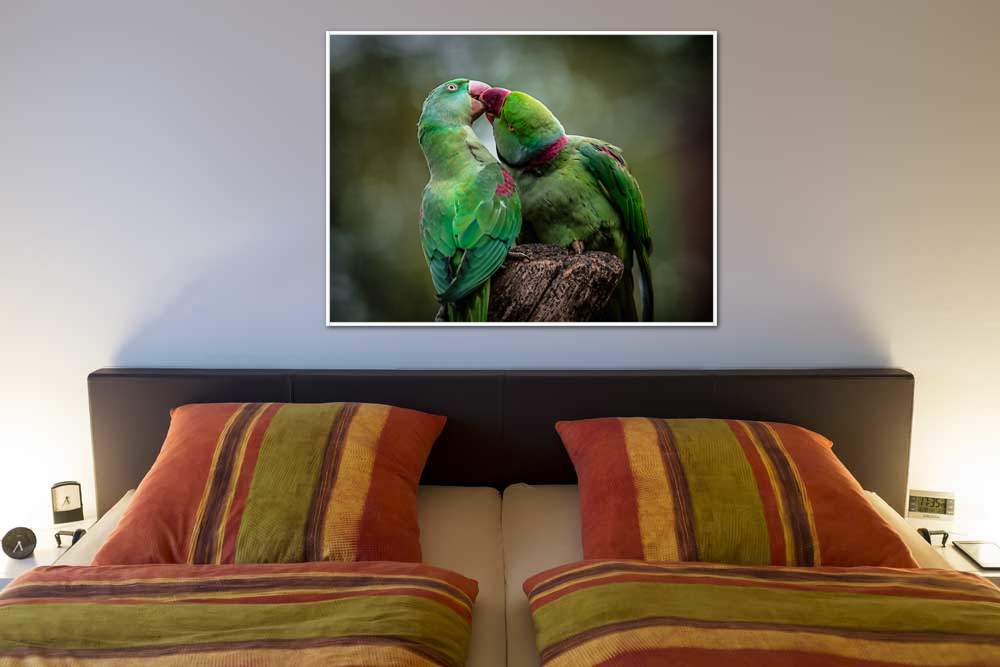 Green Parrot I von Ronin